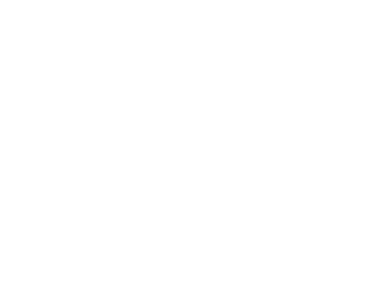 Efetiva SST